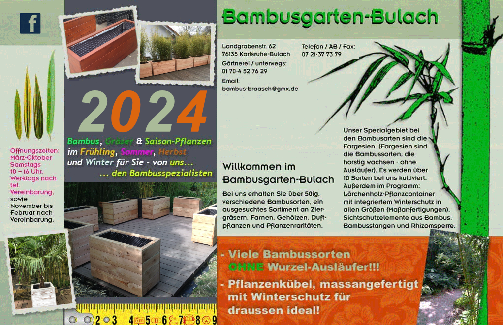 Startseite der offizielen Webpräsentation von www.bambusgarten-bulach.de