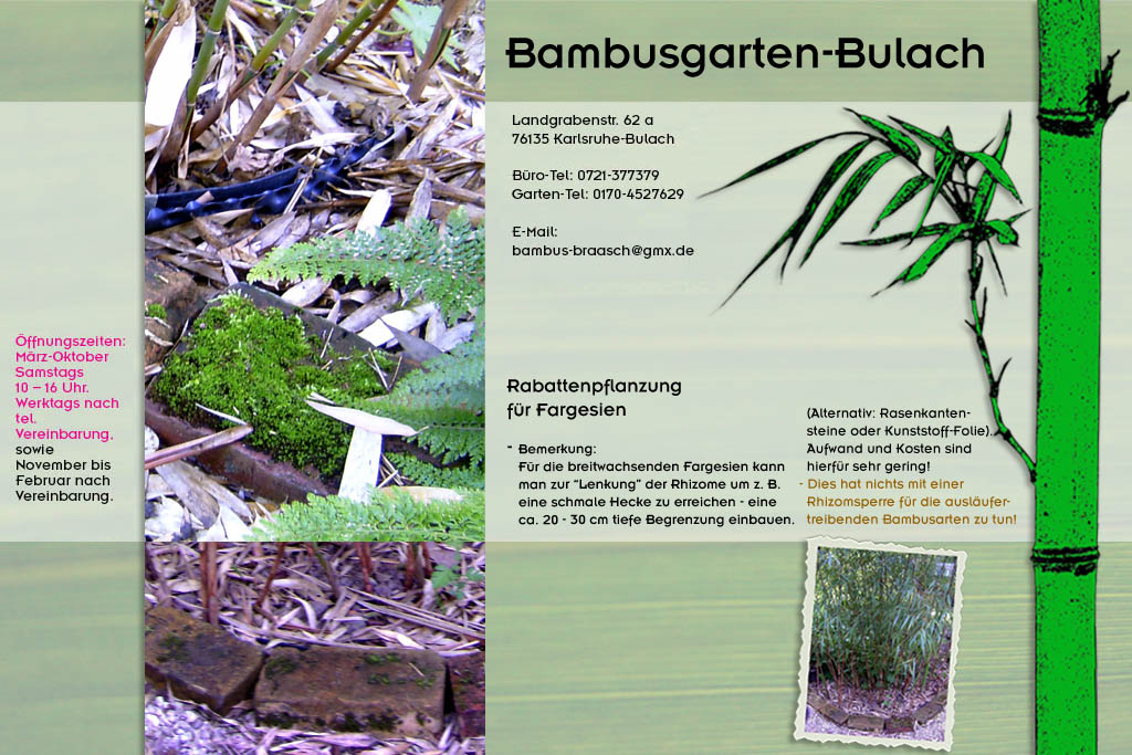 Rabattenpflanzung im Bambusgarten-Bulach in Karlsruhe ::: Bambus ::: Stefan Braasch, Landgrabenstr. 62, 76135 Karlsruhe Stadteil Bulach ::: Tel. 0170-4527629