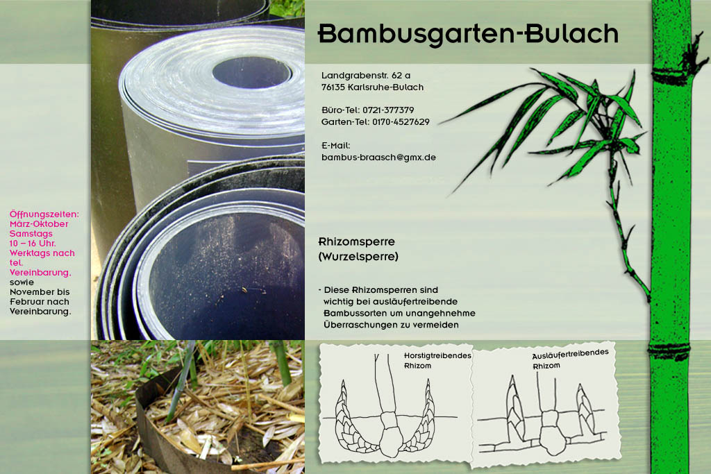 Rhizomsperre für ausläufertreibende Bambusarten im Bambusgarten-Bulach in Karlsruhe ::: Bambus ::: Stefan Braasch, Landgrabenstr. 62, 76135 Karlsruhe Stadteil Bulach ::: Tel. 0170-4527629